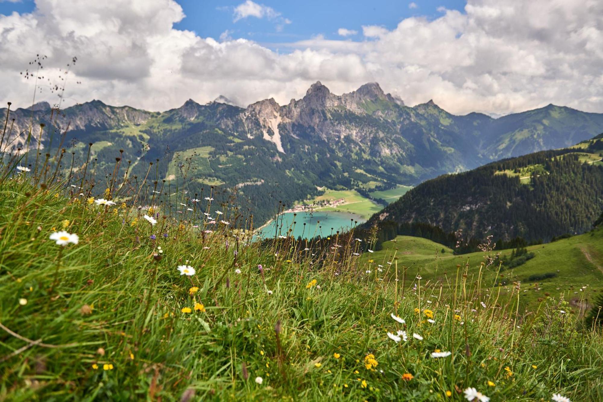 Hotel Hohenfels ทันน์ไฮม์ ภายนอก รูปภาพ